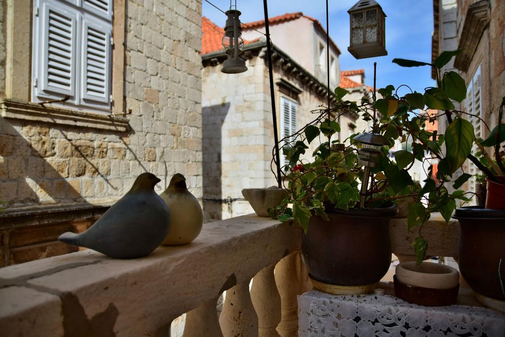 Apartment Dona Vesna Dubrovnik Oda fotoğraf